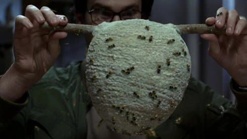 Episódio 4