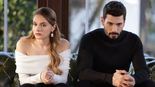Episódio 22