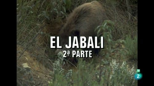 Episódio 45