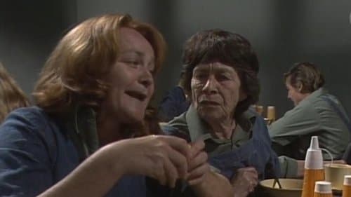 Episódio 8
