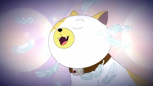 Cake O Gato